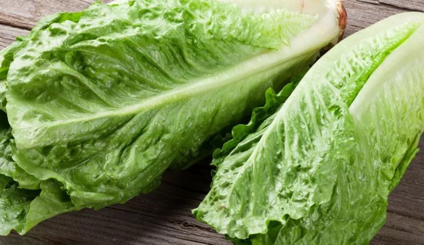 علماء ينجحون في استخراج الأنسولين من الخس 