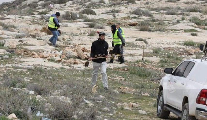 مستوطنون يعتدون على أراضي الفلسطينيين وممتلكاتهم في بيت لحم ونابلس
