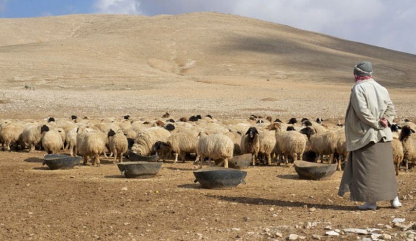 8 شهداء وجرحى بهجوم إرهابي على رعاة أغنام بريف دير الزور
