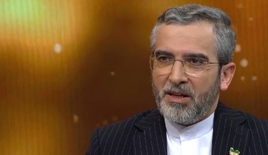 باقري: اميركا عاجزة عن القضاء على حماس