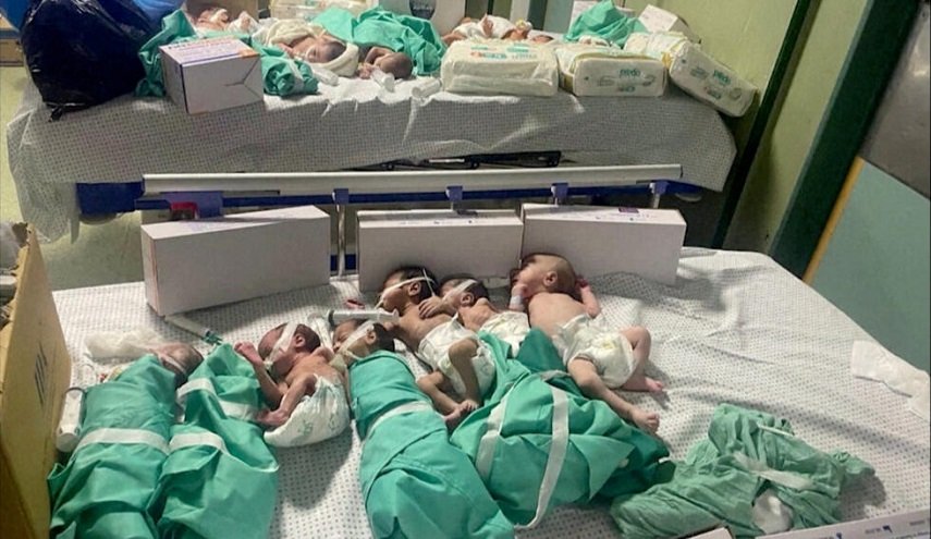 وصول 31 من الأطفال الخدج من مجمع الشفاء إلى المستشفى الاماراتي