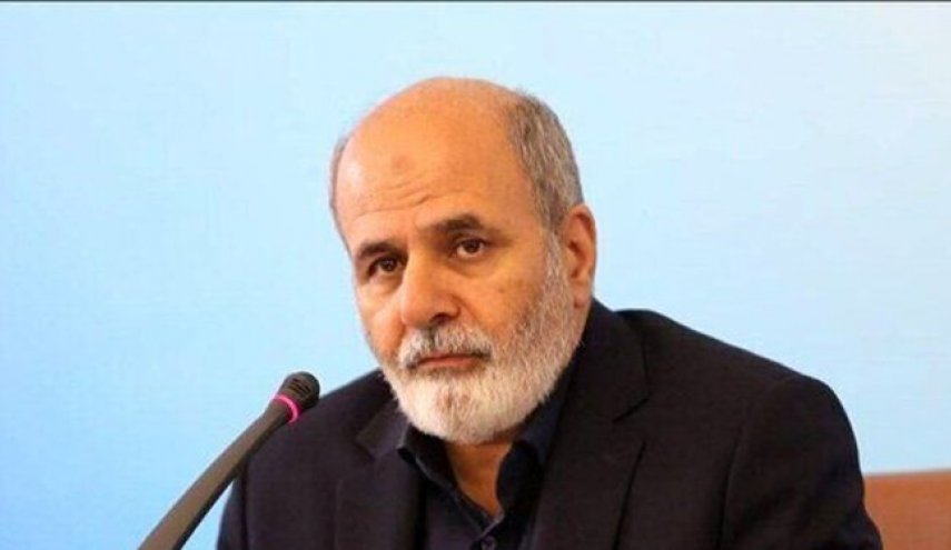 المقاومة تتجدد: أحمديان يتحدث عن ولادة مقاومة جديدة في سوريا
