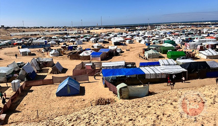 شاهد.. نازحون ينصبون خيامهم داخل الشريط الحدودي مع مصر 