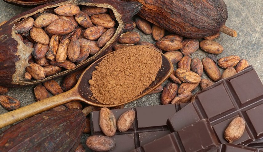 الـ'كاكاو' أغلى من النحاس!.. الطن بـ 9 آلاف دولار