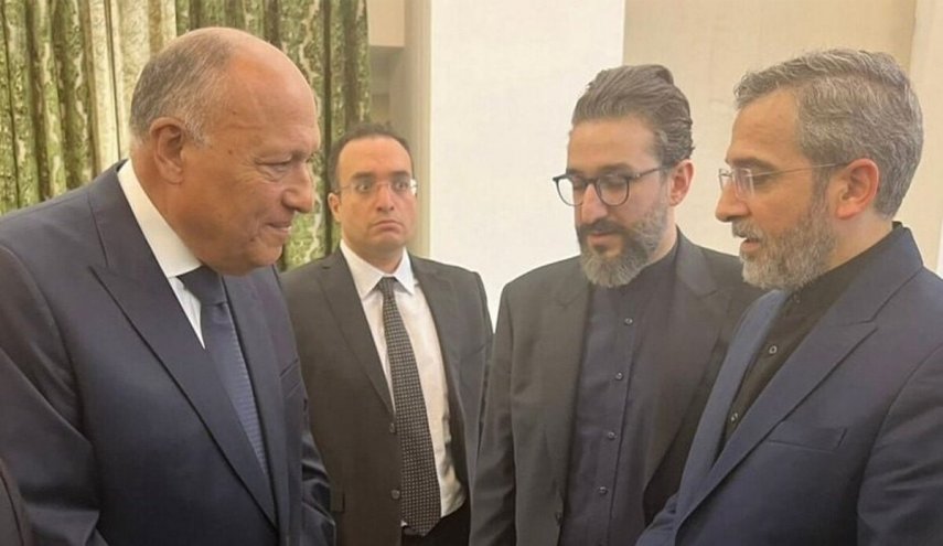هذا ما قاله باقري كني خلال لقائه وزير خارجية مصر..