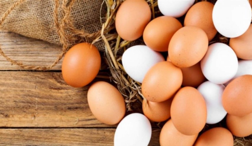 في اليوم العالمي للبيض.. ما الكمية المسموح تناولها في اليوم؟