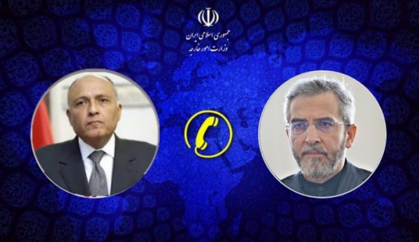 باقري يؤكد ضرورة استمرار الحوار بين إيران ومصر 