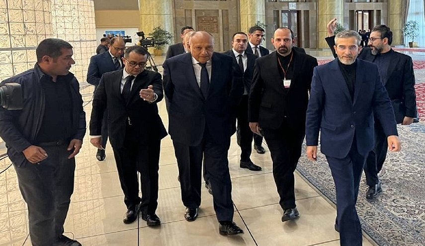 استياء إسرائيلي من 'تقارب كبير' بين ايران ومصر 