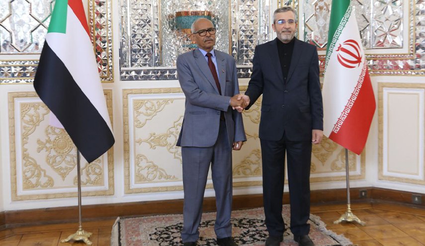 باقري كني يؤكد على فتح آفاق جديدة لتعزيز العلاقات الإيرانية السودانية
