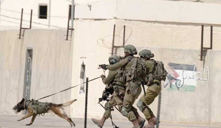 شهادات مؤلمة: العنف الجنسي ضد الفلسطينيين في تقرير أممي
