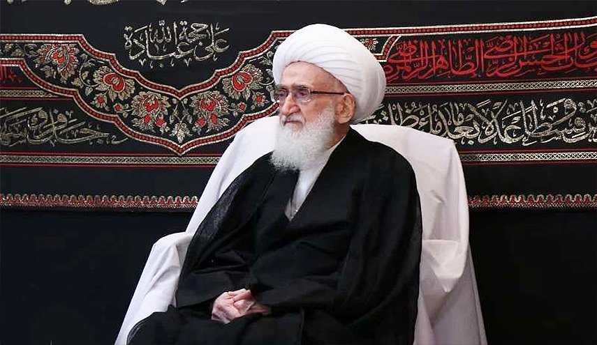 آية الله نوري همداني يدعو احرار العالم لدعم اهالي غزة والشعب اليمني