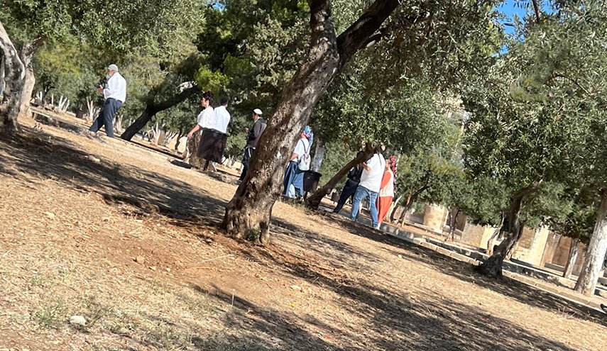مستوطنون يقتحمون المسجد الأقصى
