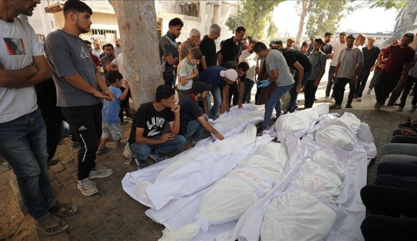 غزة: 61 شهيداً و 231 جريحا خلال 24 ساعة
