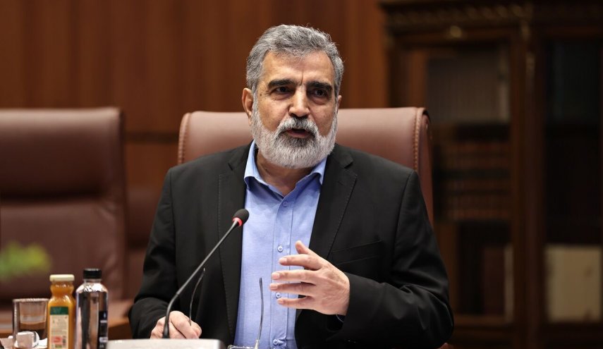 كمالوندي: صناعتنا النووية متجذرة وتزدهر مجددا