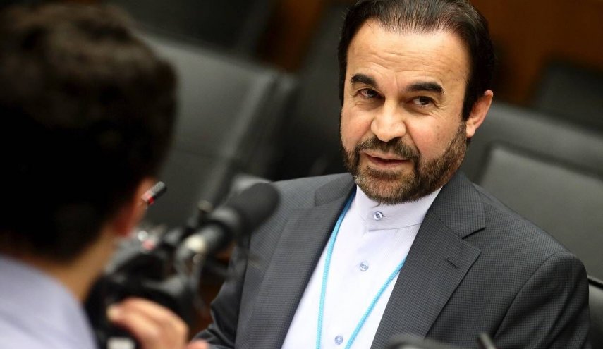 المحادثات بين ممثلي إيران والوكالة الذرية حققت تقدما
