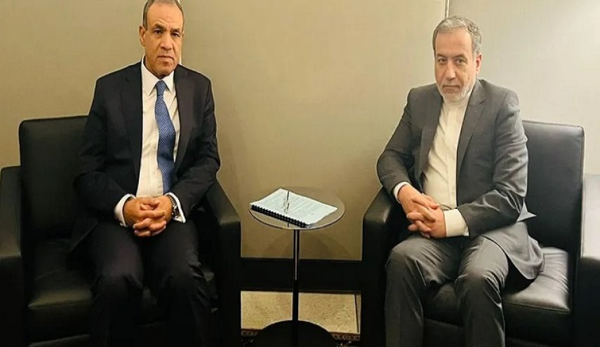 وزير الخارجية المصري يستضيف عراقجي وغروسي اليوم الثلاثاء