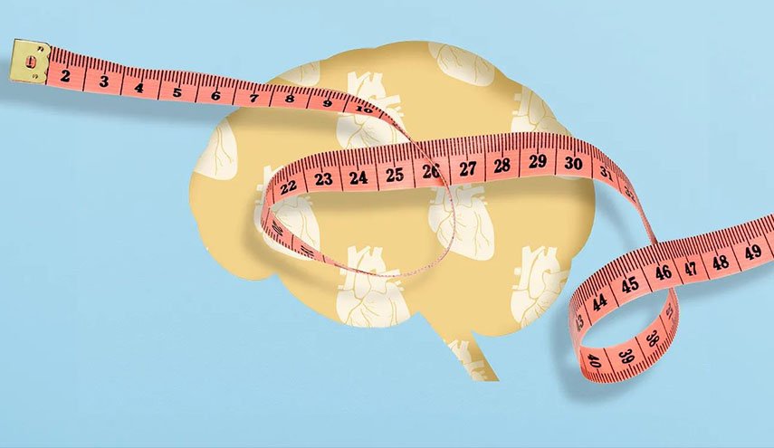 دراسة جديدة تكشف عن علاقة مقلقة بين السمنة وألزهايمر