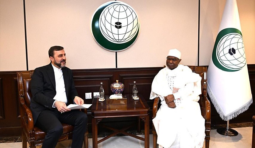 غريب آبادي يلتقي أمين عام منظمة التعاون الإسلامي