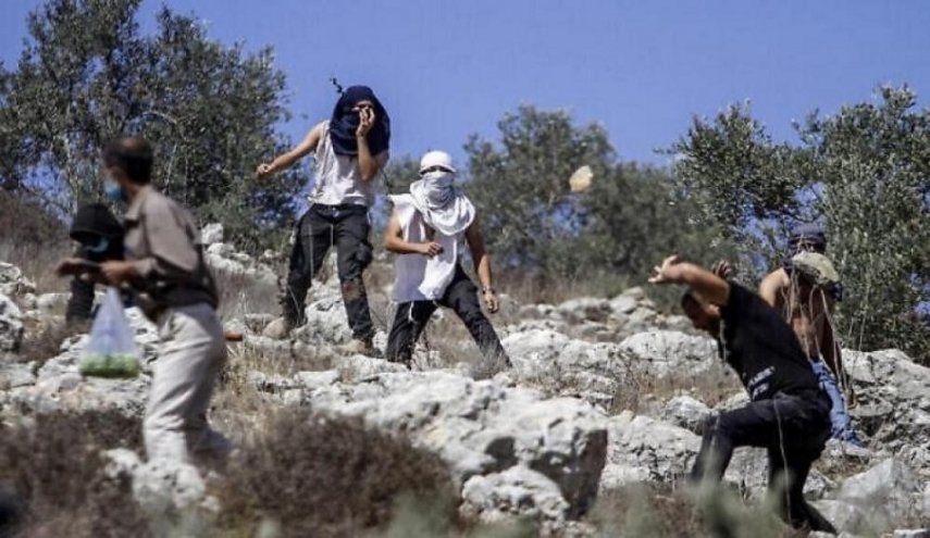 مستوطنون يشنون اعتداءات على ممتلكات فلسطينية في الضفة الغربية