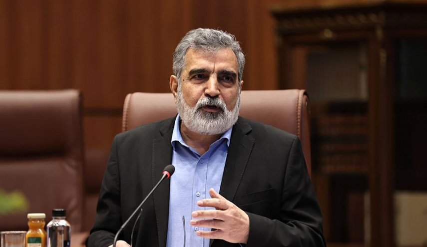المتحدث باسم منظمة الطاقة النووية: الهجوم على المنشآت النووية جريمة حرب