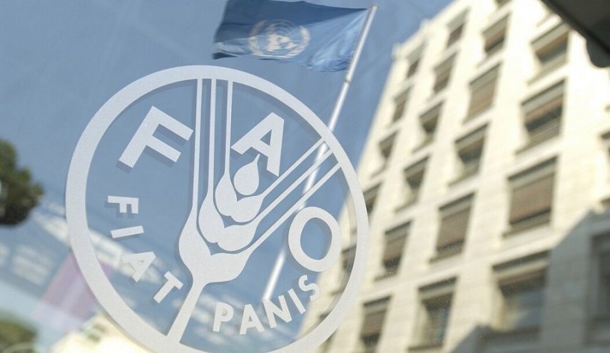 سفير إيران لدى الفاو: إيران لن تقبل بسلام مهين في ظل التهديد والحصار