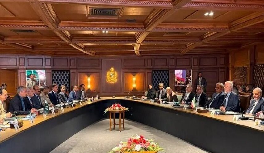 وزير داخلية باكستان: نعمل إلى جانب إيران لإحلال السلام في المنطقة