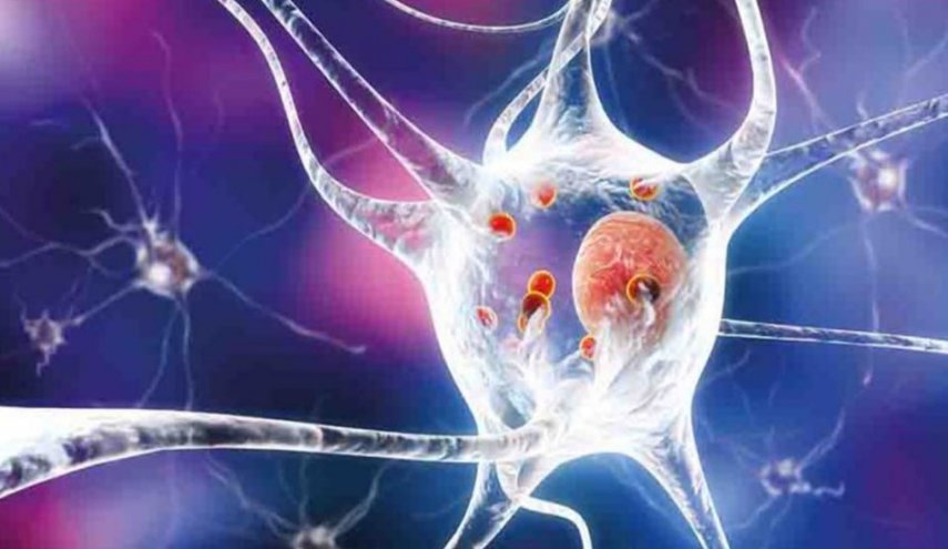 حاسة الشم تكشف سرا مبكرا لمرض باركنسون