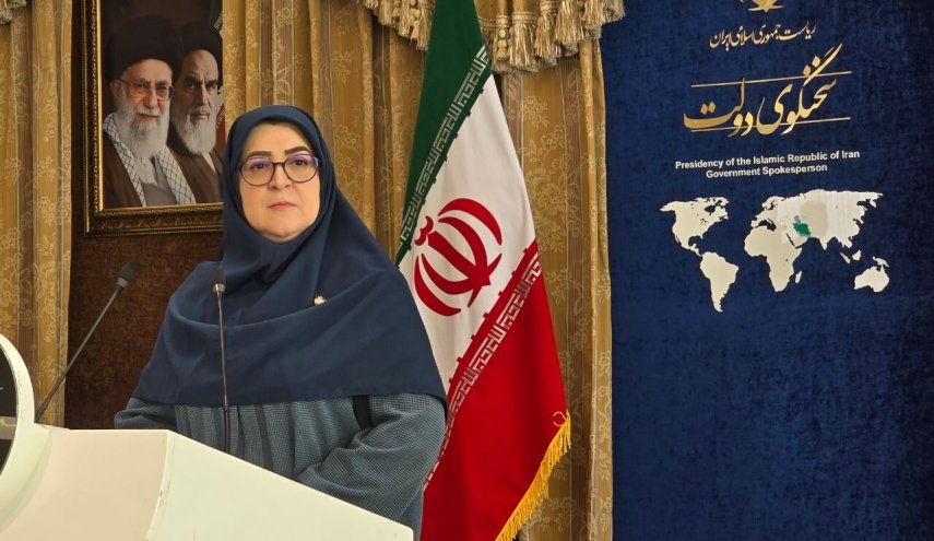 مهاجرانی: تحریم‌های هوایی آمریکا مصداق قلدرمآبی است/ مخالفت دولت با نحوه اجرای طرح نفوذ
