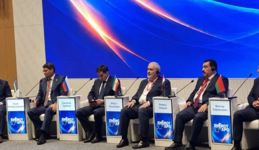 آمادگی ایران برای گسترش اتصال الکتریکی با کشور‌های منطقه