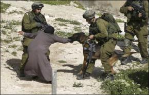 غضب اللوبي الصهيوني بفرنسا على عرض لمعاناة الفلسطينيين