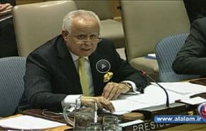 مجلس الامن يمنح الغرب تفويضا للتدخل في مالي