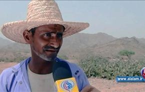انتهاكات سعودية بحق سكان الحدود اليمنيين