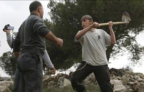 35 مستوطنا ينكلون بشابين فلسطينيين قرب الخليل