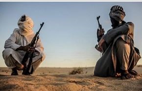 ناآرامی های سینا، کار اخوان المسلمین است
