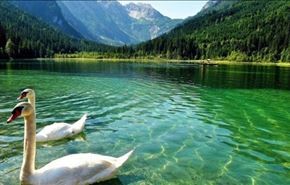 تصاویری چشم نواز از طبیعت زیبا