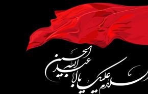 الحسين ( ع ) ثورة محورها الانسان