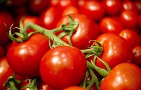 سریال گوجه فرنگی سرطانزای صهیونیستی به لبنان رسید