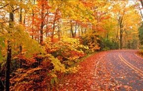 تصاویر زیبا و دیدنی از طبیعت
