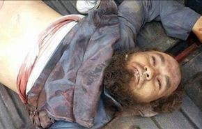 قيادة عمليات الجزيرة والبادية تهنئ العراقيين بمقتل 
