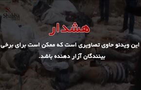 فیلم: گور جمعی قربانیان داعش در حلب