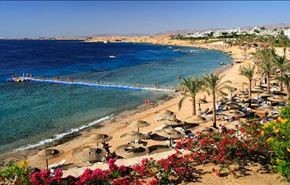سینا هزار روز دیگر 