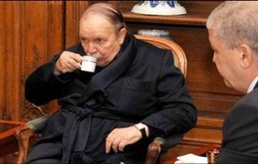 ماذا لو زور بوتفليقة الانتخابات؟+فيديو