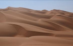 بالفيديو.. طرزان الصحراء!
