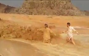 بالفيديو.. 