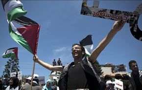 فلسطینی ها از زمان اشغال هشت برابر شده اند
