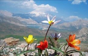 تصاویر دیدنی طبیعی از گوشه و کنار دنیا