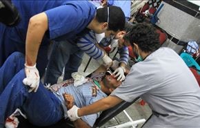 صدها کشته در زورآزمایی ارتش با اخوان