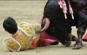 مسابقه گاوبازی به نفع گاوها تمام شد + عکس