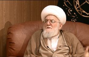 آية الله التسخيري يكشف عن مخطط 