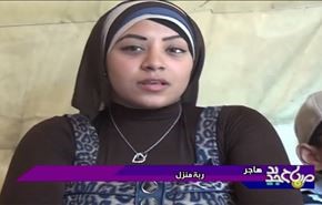 عيش الغراب في مصر